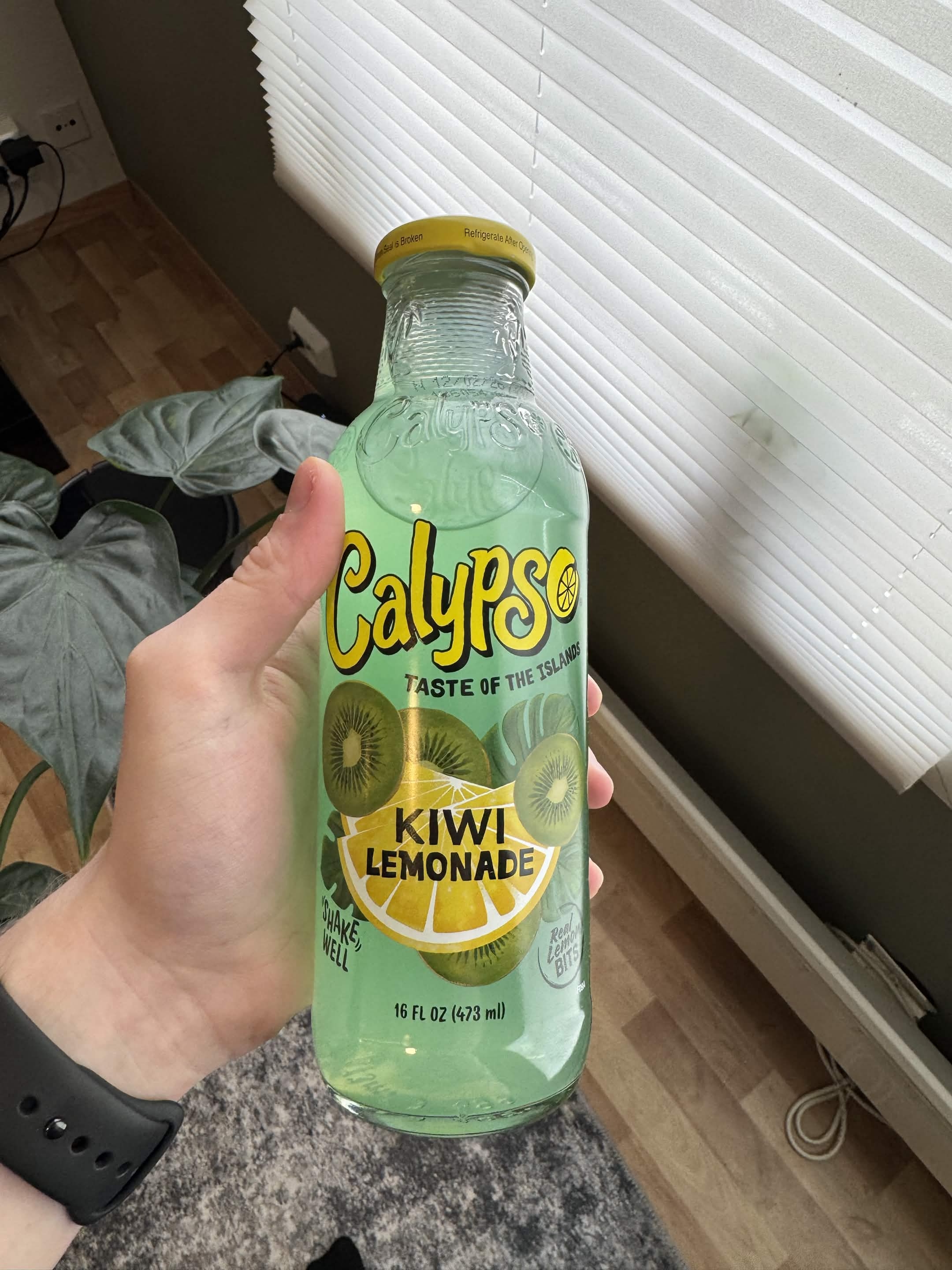 A bottle of Calypso kiwi lemonade held up by a window