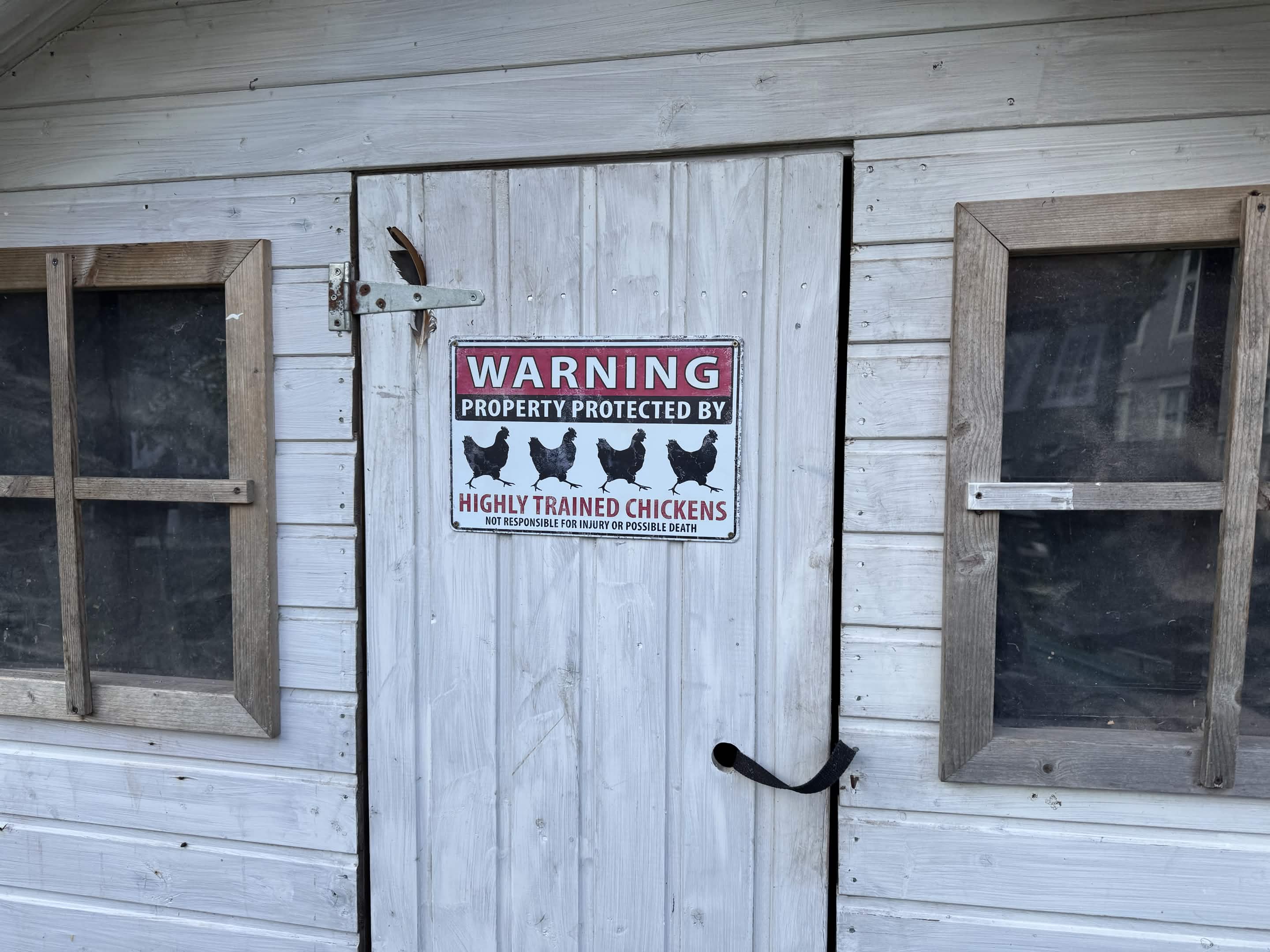 A shed door with a sign: property protected by highly trained chickens